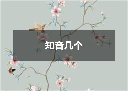 知音几个
