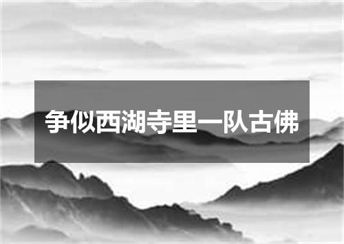 争似西湖寺里一队古佛