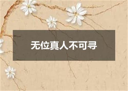 无位真人不可寻