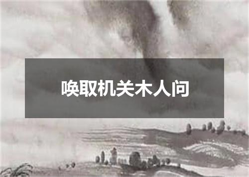 唤取机关木人问