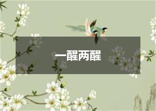 一醒两醒