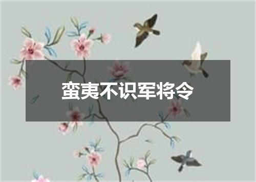 蛮夷不识军将令