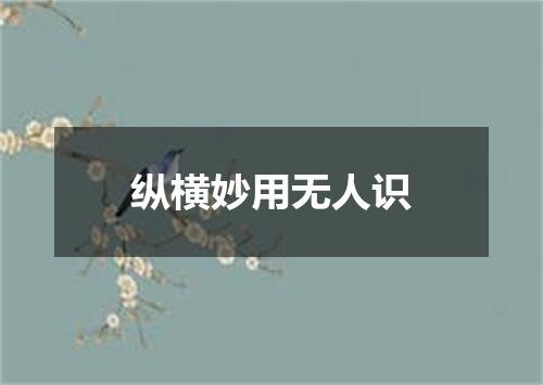 纵横妙用无人识