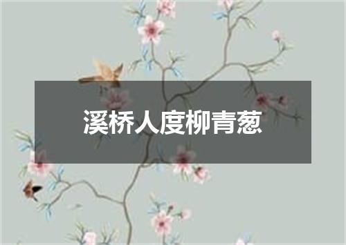溪桥人度柳青葱