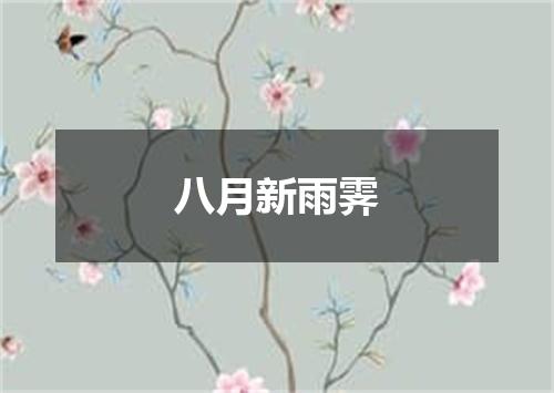 八月新雨霁