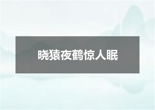 晓猿夜鹤惊人眠