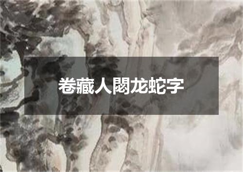 卷藏人閟龙蛇字