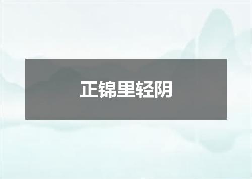 正锦里轻阴