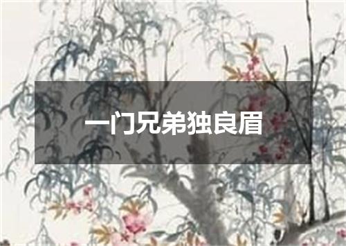 一门兄弟独良眉