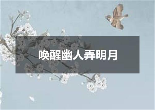 唤醒幽人弄明月