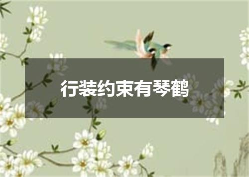 行装约束有琴鹤