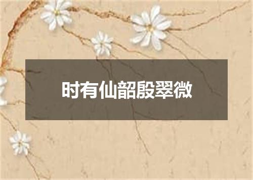 时有仙韶殷翠微