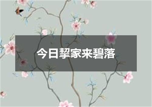 今日挈家来碧落