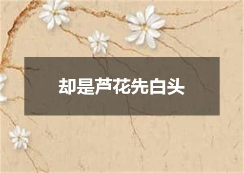 却是芦花先白头
