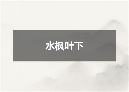 水枫叶下