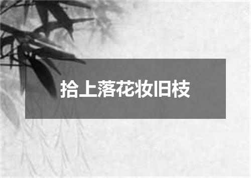 拾上落花妆旧枝