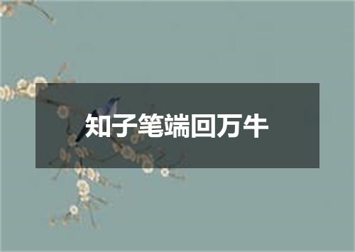 知子笔端回万牛