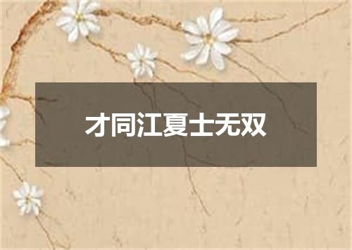 才同江夏士无双