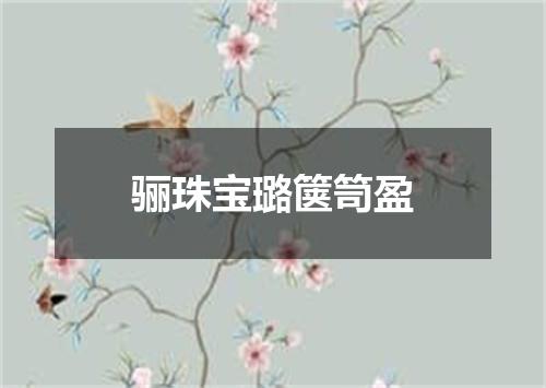 骊珠宝璐箧笥盈