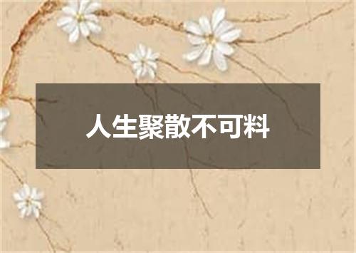 人生聚散不可料