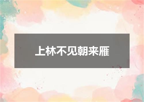 上林不见朝来雁