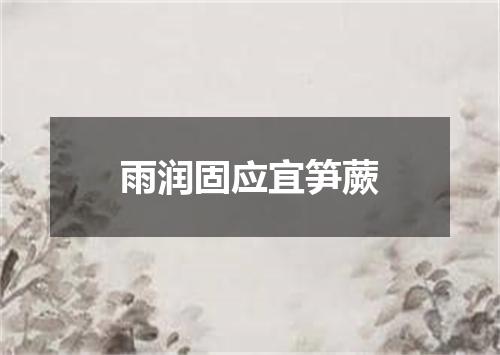 雨润固应宜笋蕨