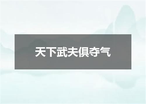 天下武夫俱夺气