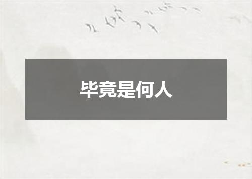 毕竟是何人
