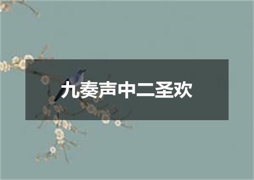 九奏声中二圣欢
