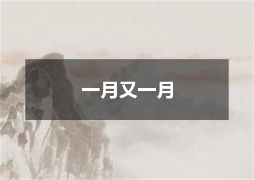 一月又一月