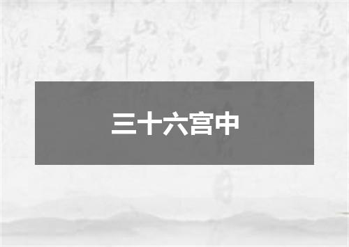 三十六宫中