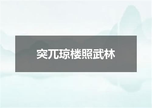 突兀琼楼照武林