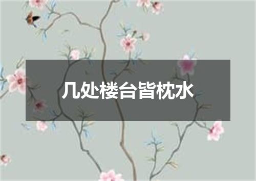几处楼台皆枕水