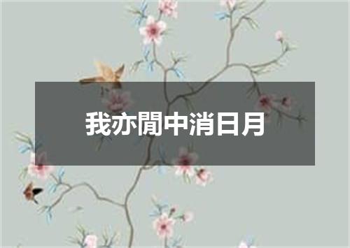 我亦閒中消日月
