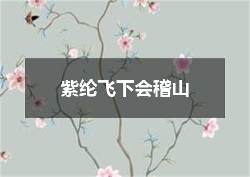 紫纶飞下会稽山