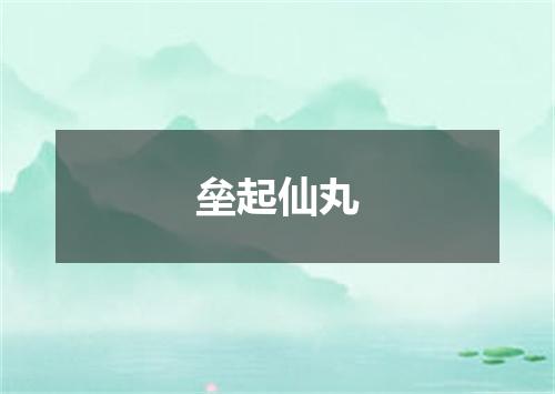 垒起仙丸