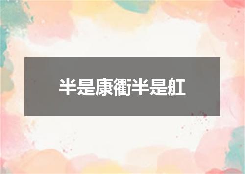 半是康衢半是舡