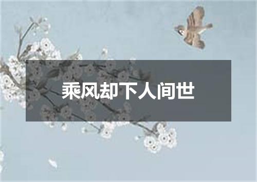 乘风却下人间世