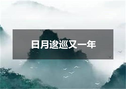 日月逡巡又一年