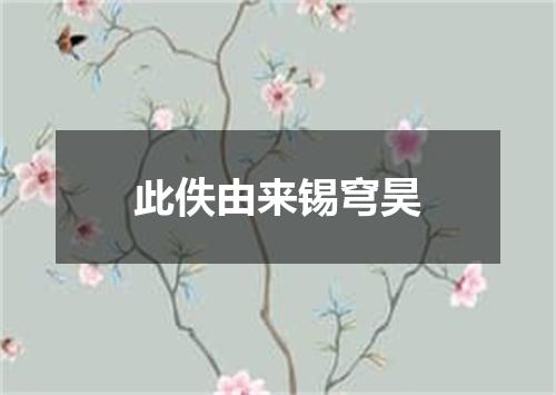 此佚由来锡穹昊