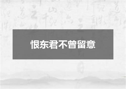 恨东君不曾留意