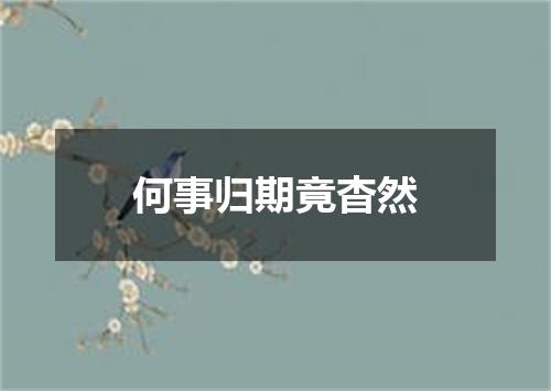 何事归期竟杳然