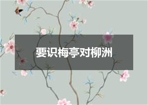 要识梅亭对柳洲