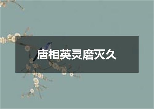 唐相英灵磨灭久