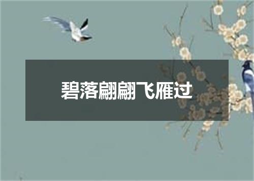 碧落翩翩飞雁过