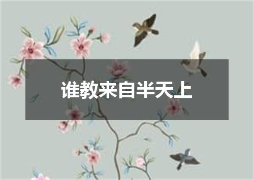 谁教来自半天上