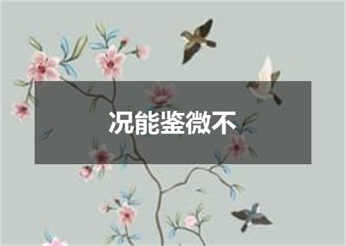 况能鉴微不
