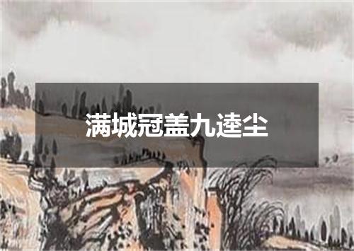满城冠盖九逵尘