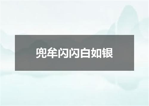 兜牟闪闪白如银