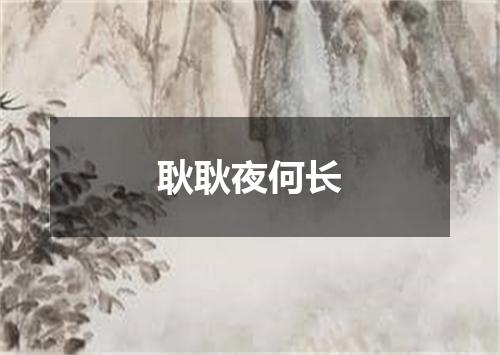 耿耿夜何长